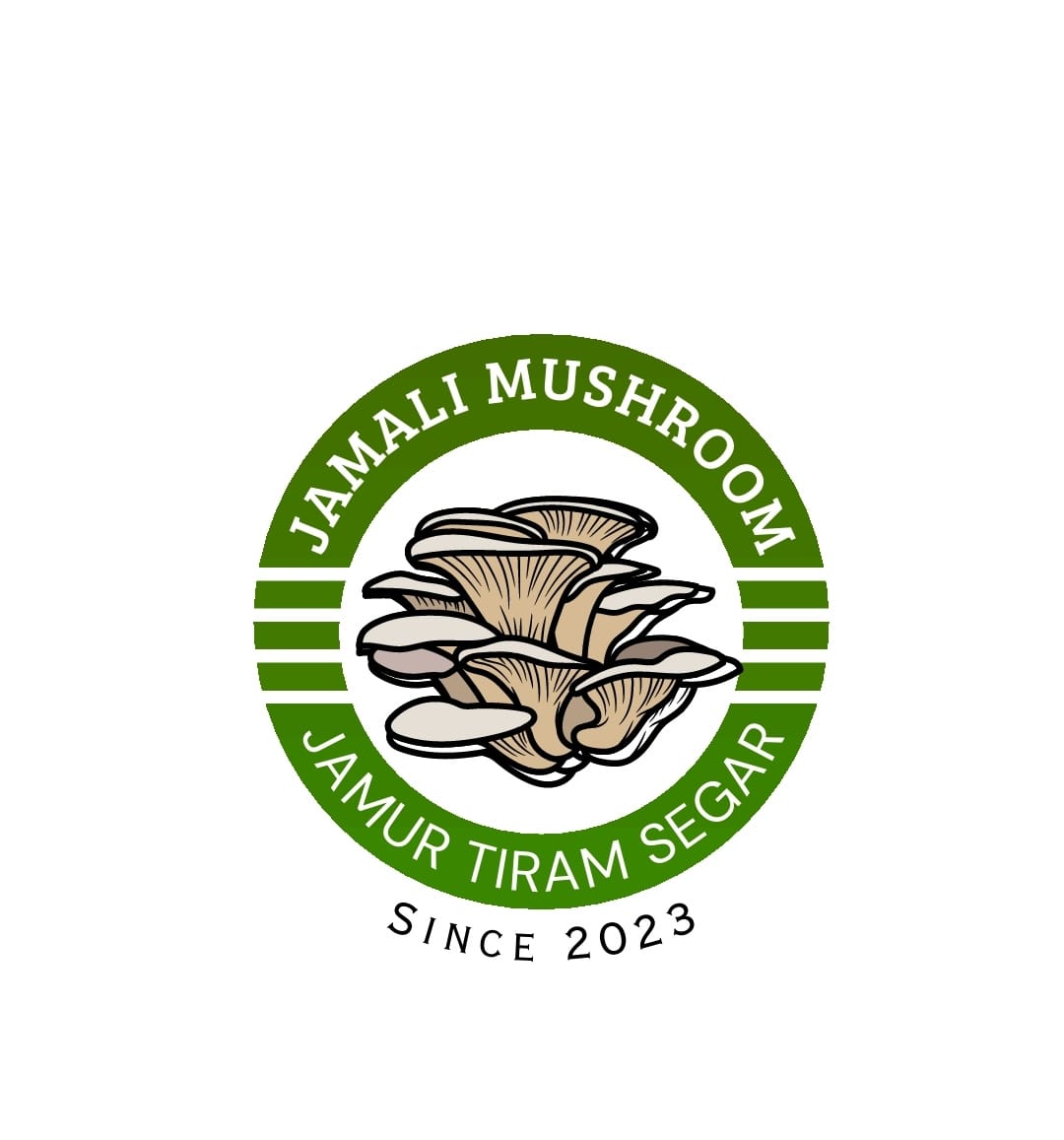 Jamali Mushroom (Jamur Tiram)